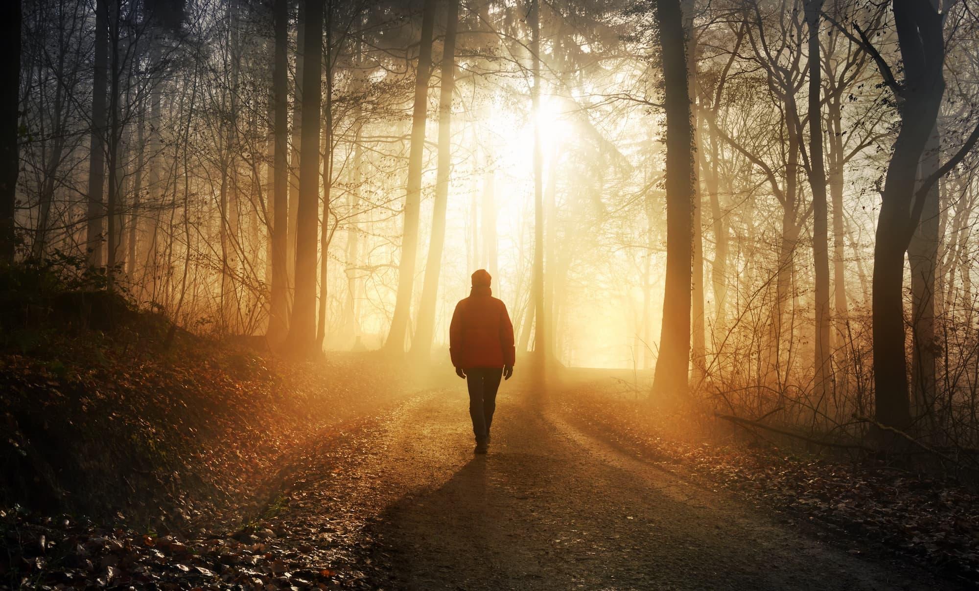 person walking down a forest trail at sunrise with sunlight streaming through the trees, representing the freedom, simplicity, and connection to nature that draw many people toward off-grid living